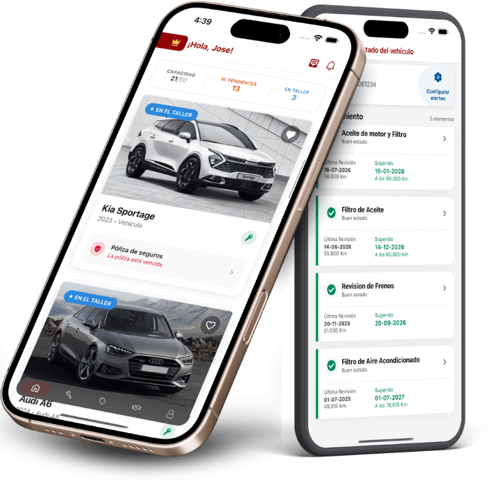 Captura del proyecto Garage Plus
